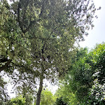 Photo n°10 de l'avis de tiziano.a fait le 09/07/2023 à 08:20 sur le  Parco Zoo Falconara Srl à Falconara Marittima