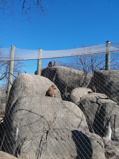 Zoo «Indianapolis Zoo», reviews and photos, 1200 W Washington St, Indianapolis, IN 46222, USA