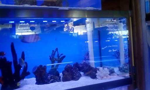 Pet Store «Ark Pet Shop», reviews and photos, 2400 W Lincoln Hwy, Merrillville, IN 46410, USA