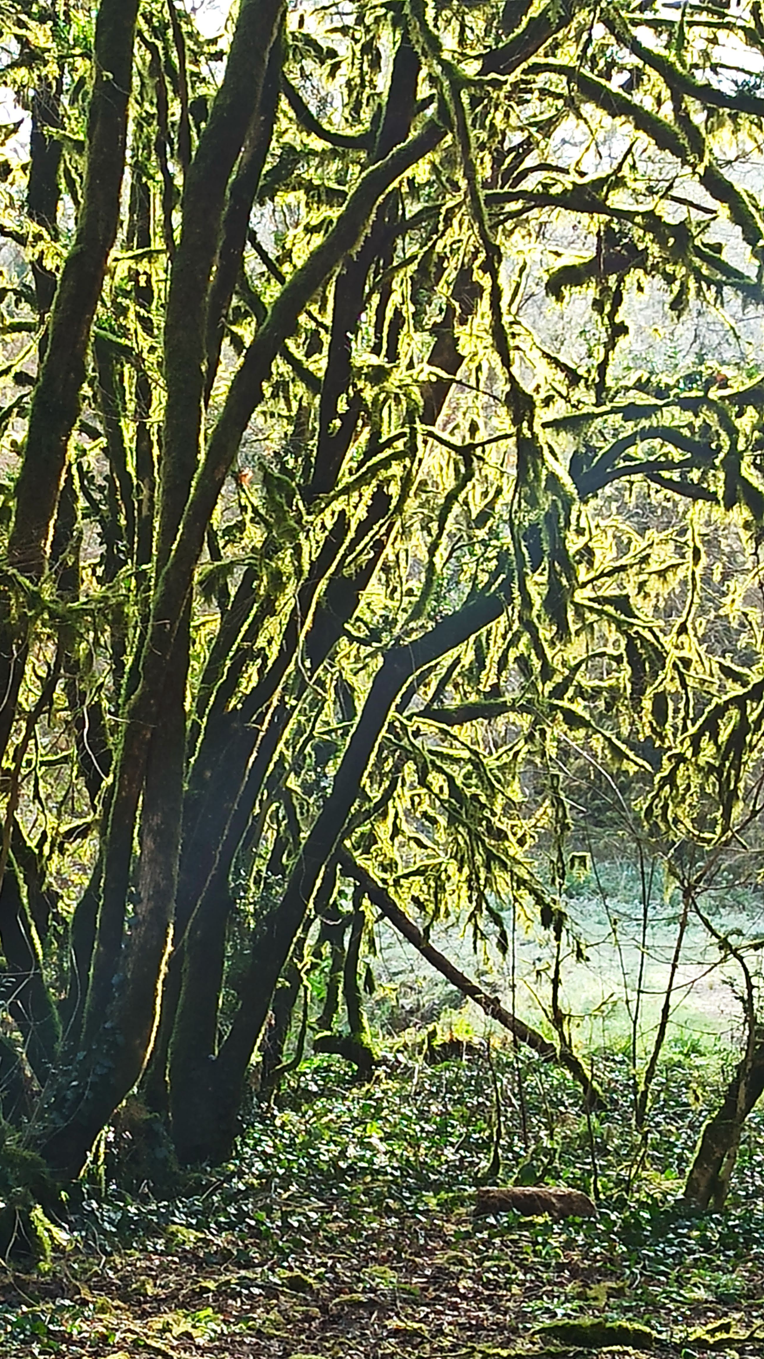 Photo n° 33 de l'avis de Veltas. fait le 30/10/2019 à 11:55
