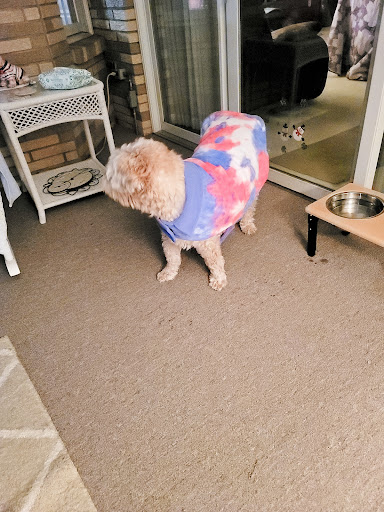 Pet Supply Store «Pet Supplies Plus», reviews and photos, 887 N Lexington-Springmill Rd, Mansfield, OH 44906, USA