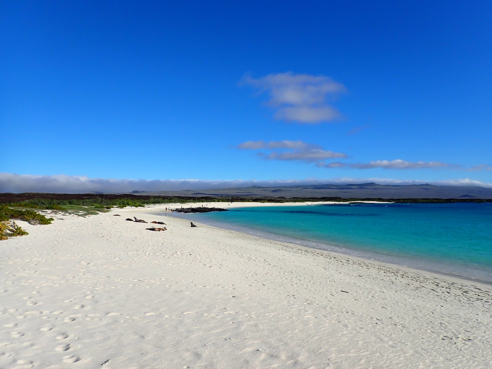Foto van Playa Cerro Brujo met wit fijn zand oppervlakte
