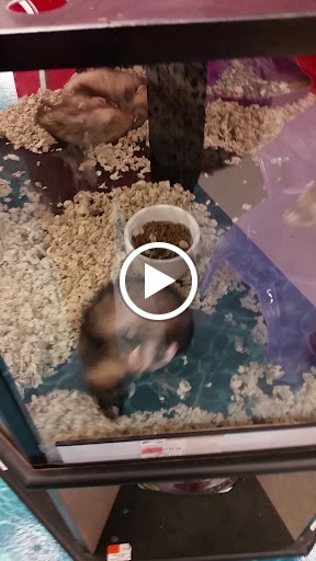 Pet Supply Store «Petco Animal Supplies», reviews and photos, 1111 US-46, Parsippany, NJ 07054, USA