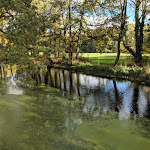 Photo n°20 de l'avis de Balle. fait le 12/11/2018 à 19:05 sur le  Café und Restaurant Wasserschloss Mellenthin à Mellenthin