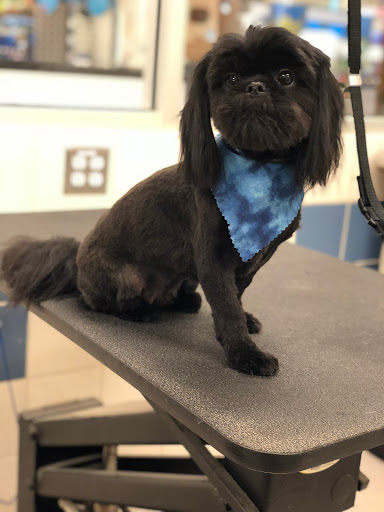 Pet Supply Store «Petco Animal Supplies», reviews and photos, 5260 W Baseline Rd, Laveen Village, AZ 85339, USA