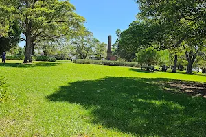 Ashfield Park Community Garden image