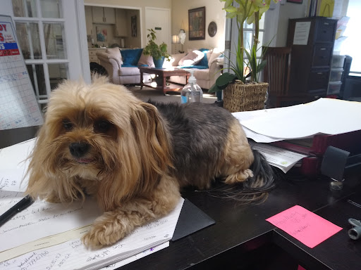 Pet Supply Store «Petco Animal Supplies», reviews and photos, 1110 Harter Pkwy, Yuba City, CA 95993, USA