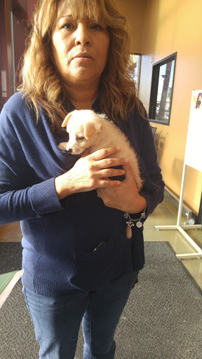 Pet Supply Store «PetSmart», reviews and photos, 12741 Towne Center Dr, Cerritos, CA 90703, USA