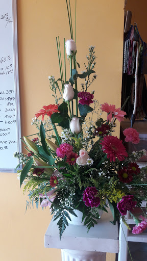 Dguillé Floreria – Chihuahua