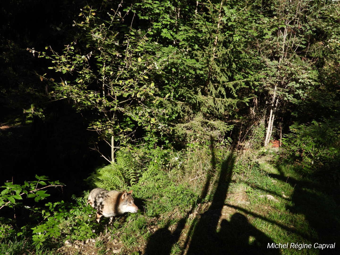 Photo n° 33 de l'avis de michel.a fait le 03/10/2019 à 13:25