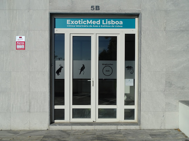 ExoticMed Lisboa - Clínica Veterinária de Aves e Exóticos de Lisboa - Veterinário