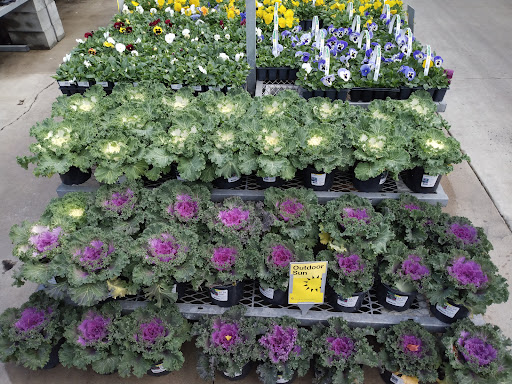 Home Improvement Store «The Home Depot», reviews and photos, 1750 Jonesboro Rd, McDonough, GA 30253, USA