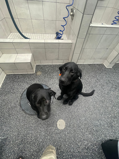 Pet Supply Store «Pet Supplies Plus», reviews and photos, 7954 Brewerton Rd #400, Cicero, NY 13039, USA