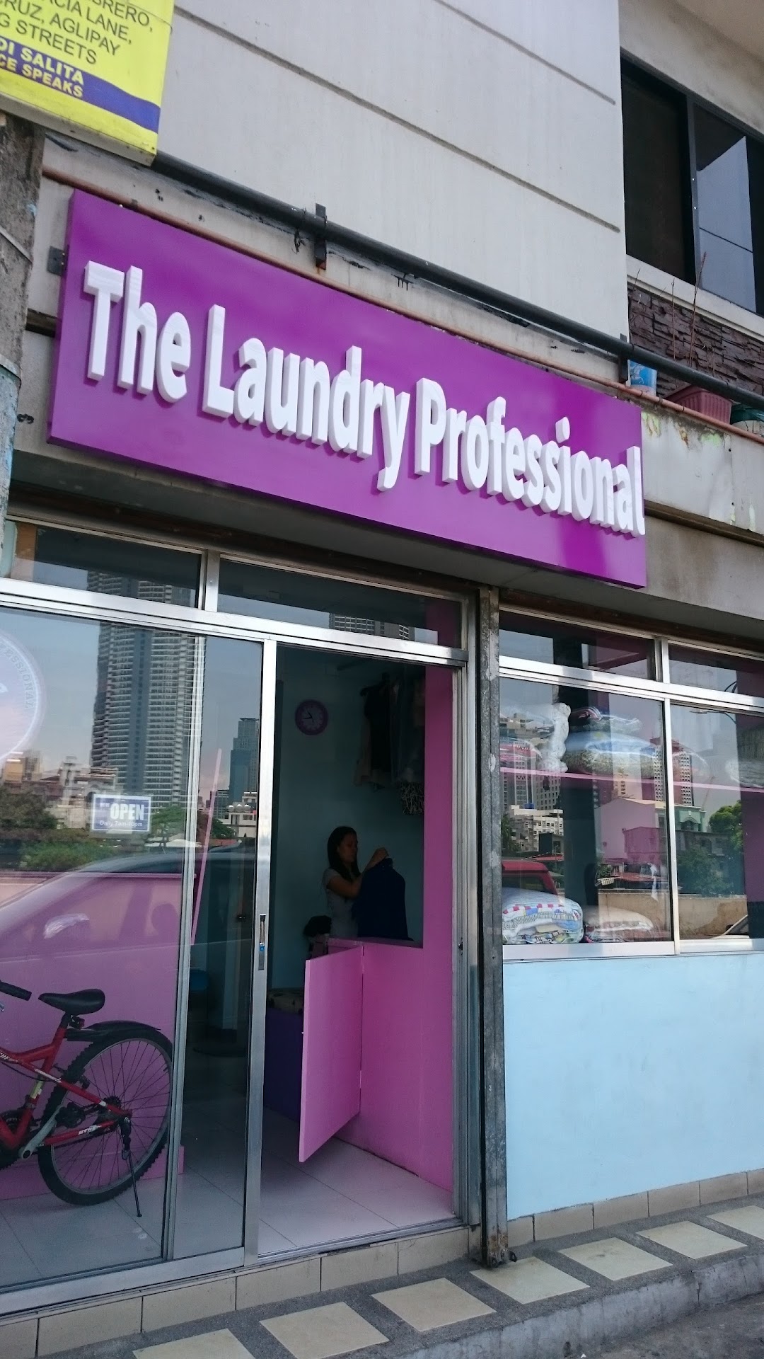 The Laundry Professional