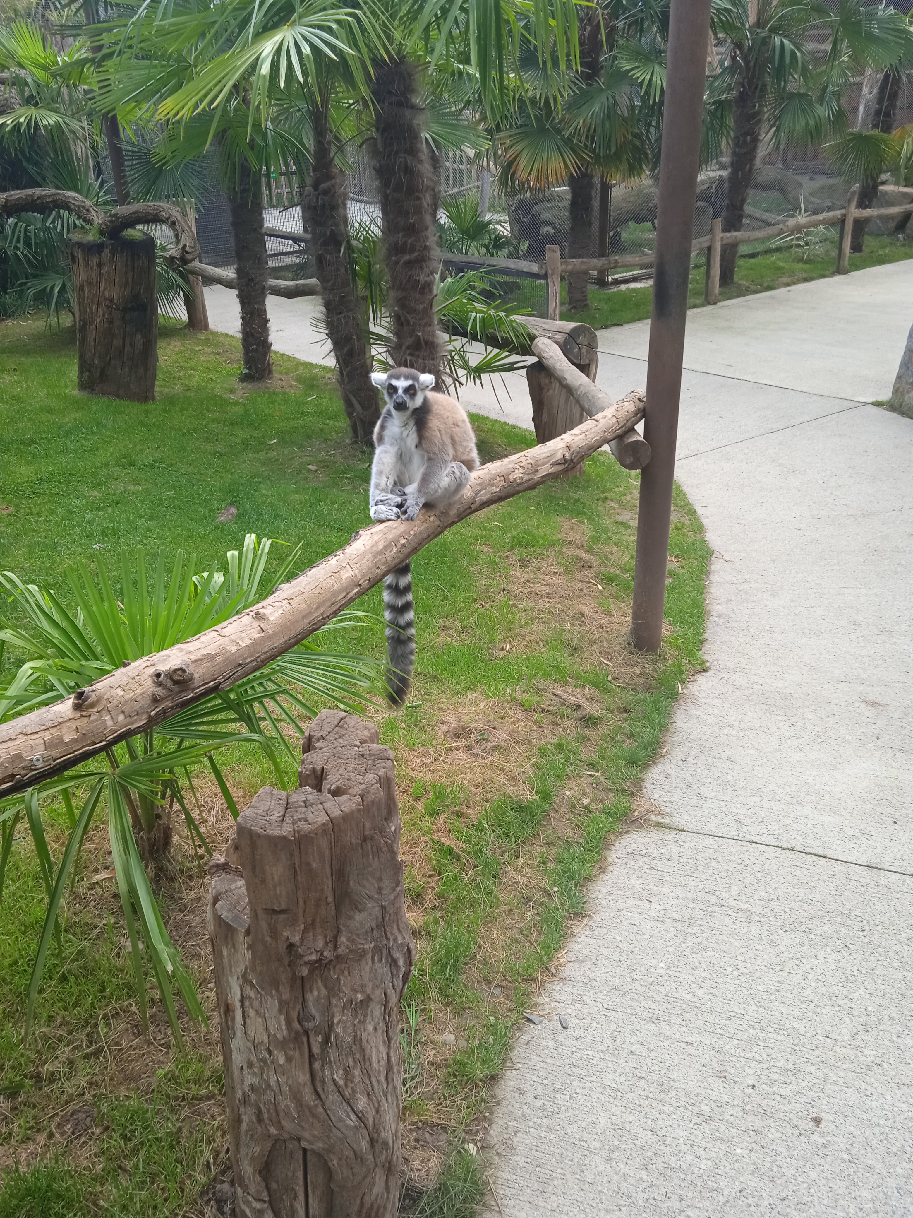 Photo n° 15 de l'avis de Gamer.p fait le 04/06/2022 à 18:21