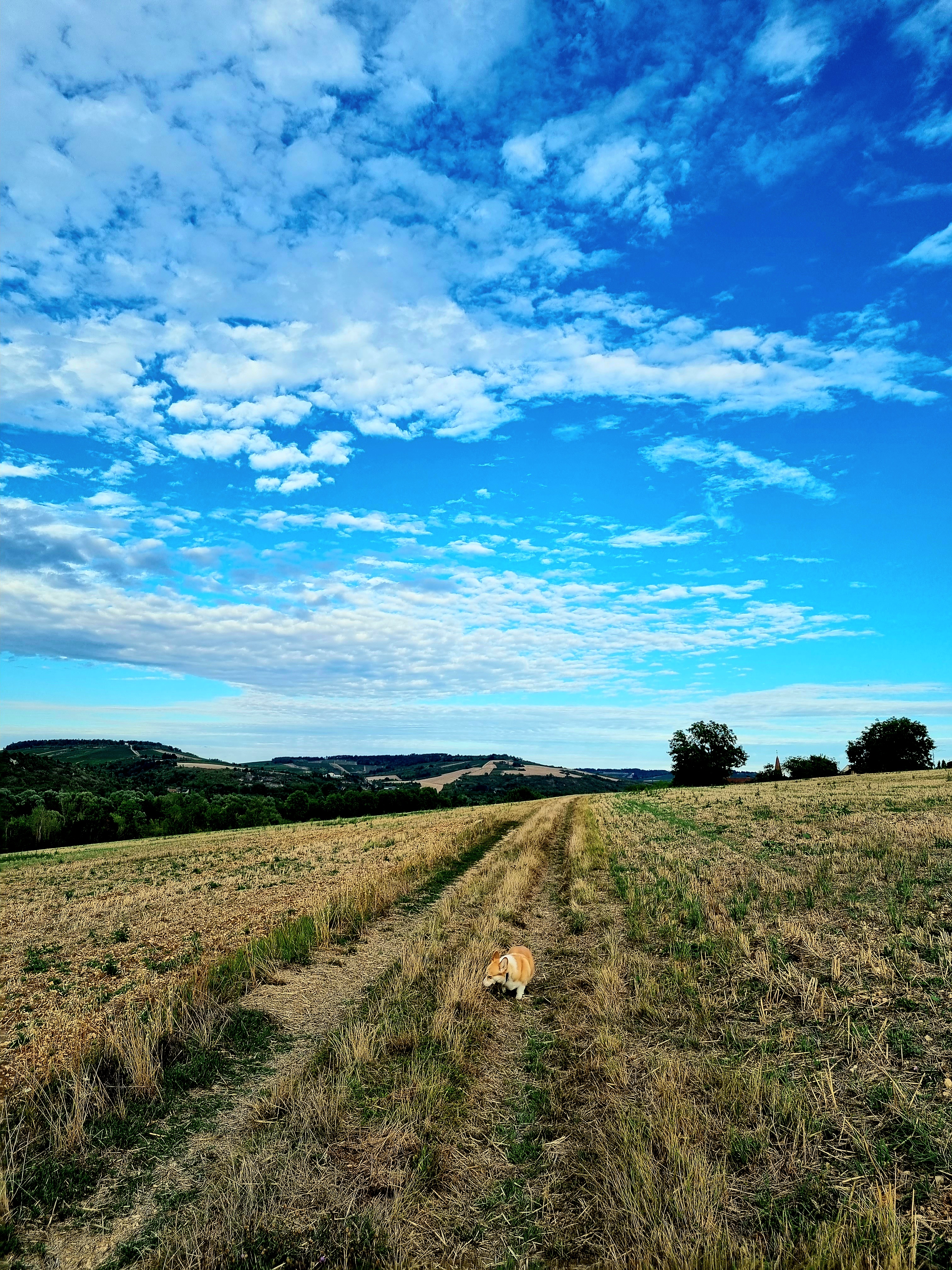 Photo n° 5 de l'avis de Vygintas.a fait le 23/08/2022 à 11:10