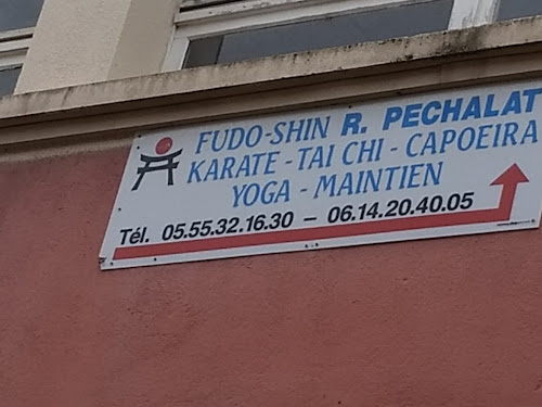 Centre de yoga Fudo Shin Yoga Limoges