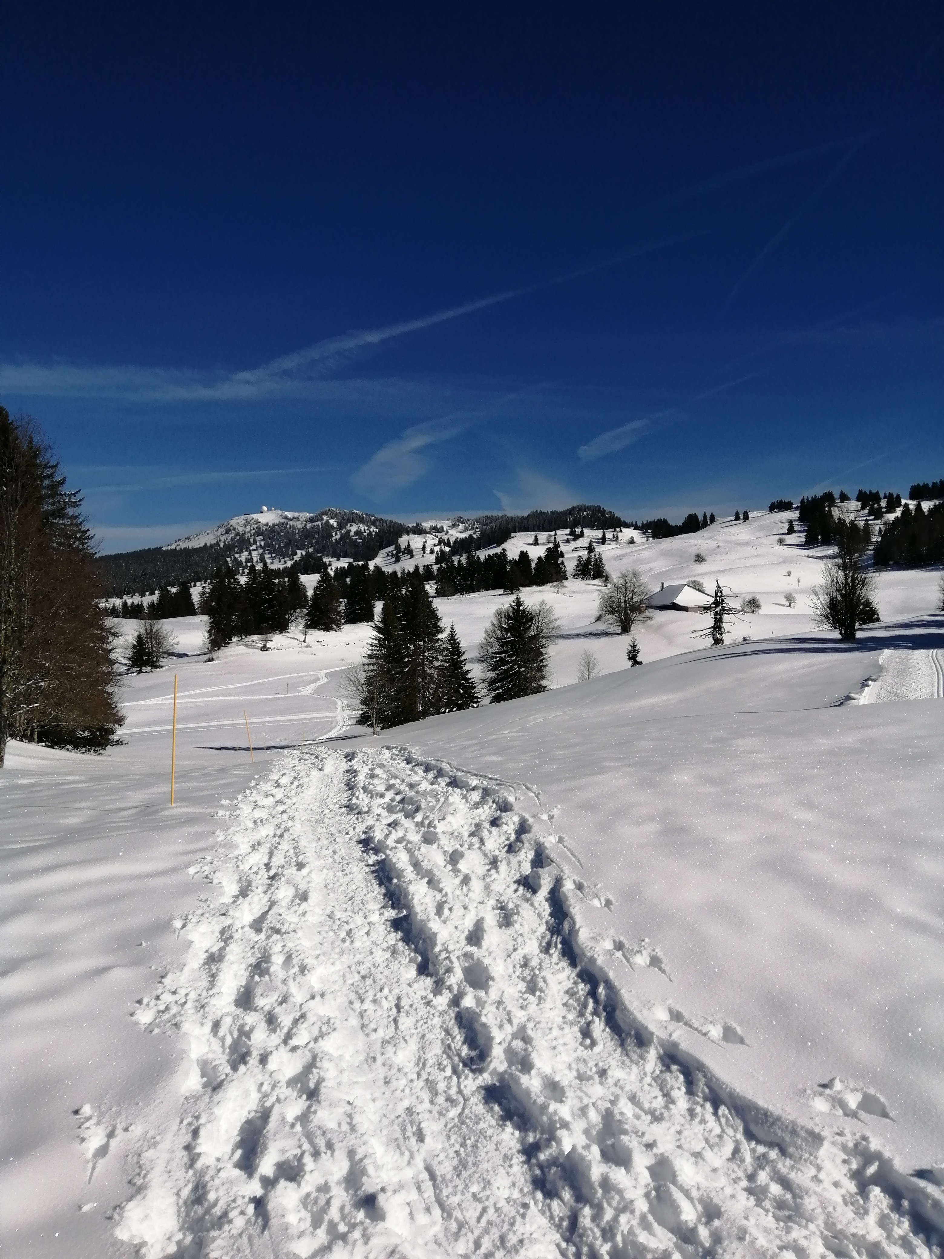 Photo n° 19 de l'avis de paisajes,.i fait le 08/03/2020 à 23:01