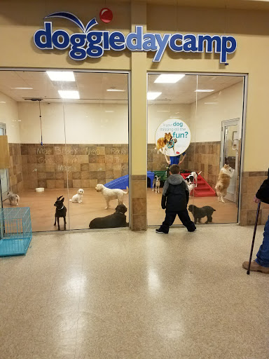 Pet Supply Store «PetSmart», reviews and photos, 310 N White Horse Pike, Lawnside, NJ 08045, USA