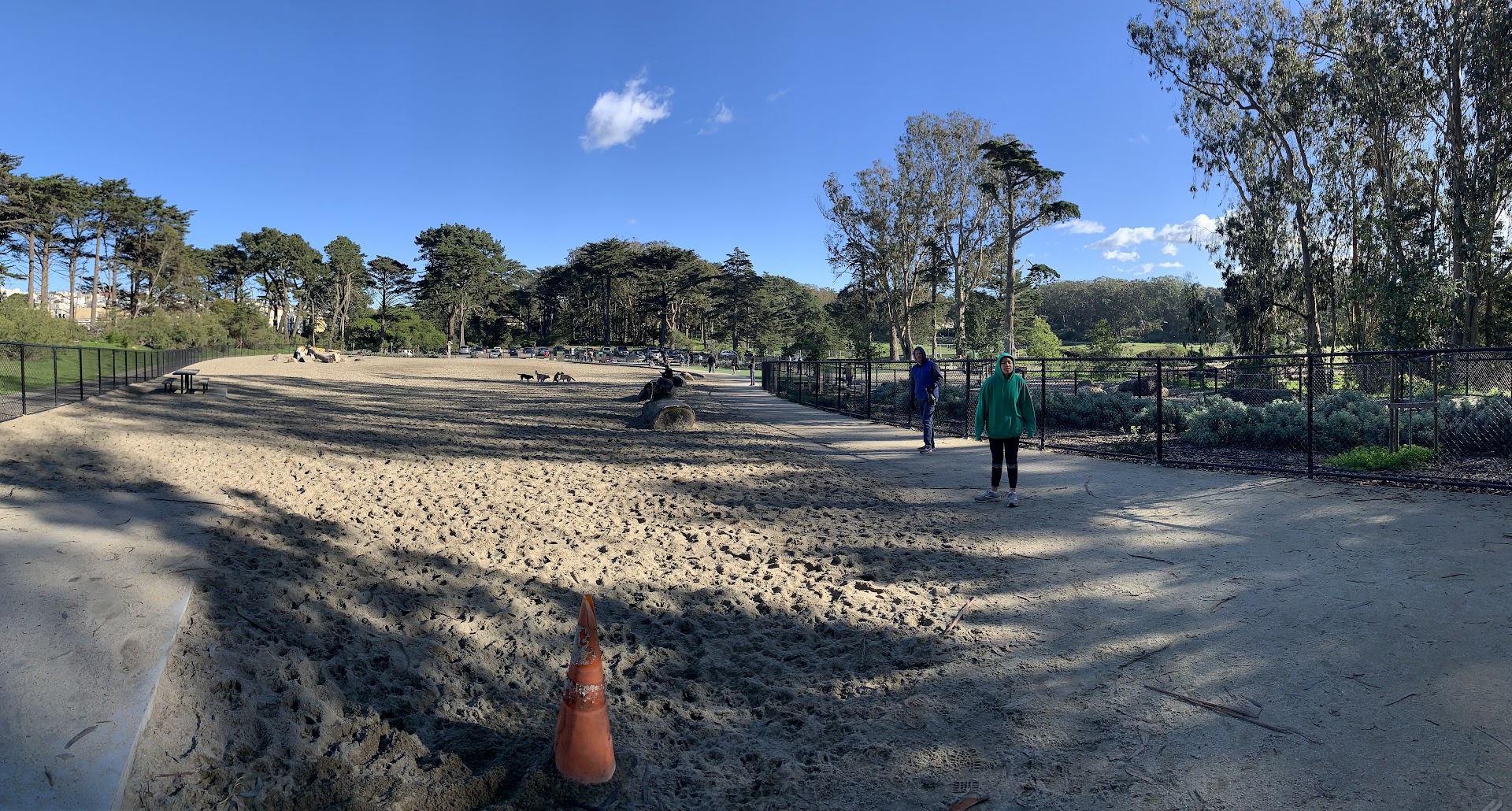 Golden Gate Park Dog Training Area