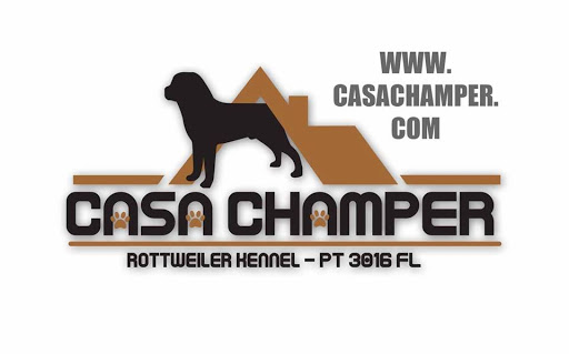 CASA CHAMPER - Rottweiler Kennel