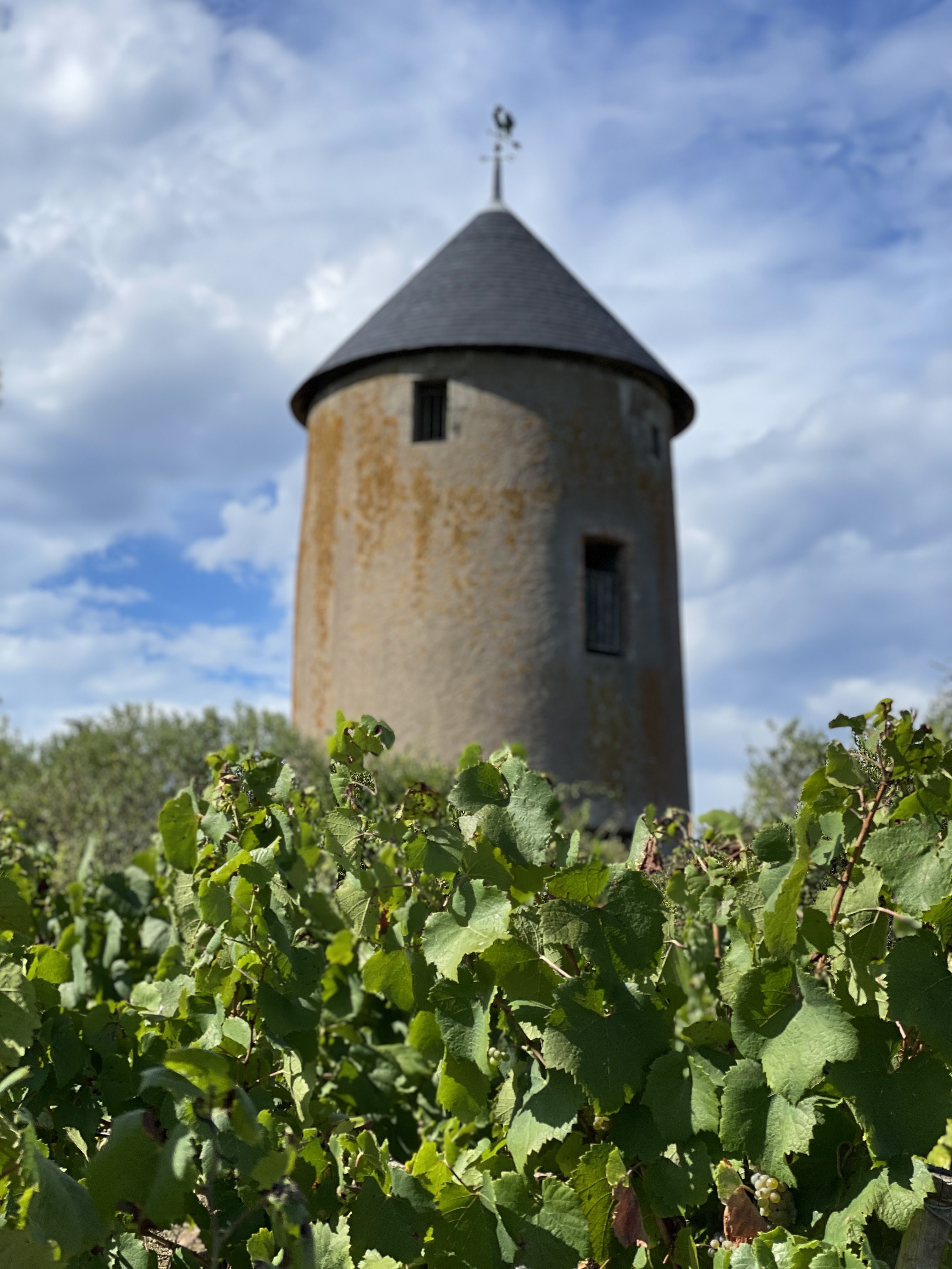 Photo n° 11 de l'avis de Grzegorz.a fait le 13/09/2022 à 10:36