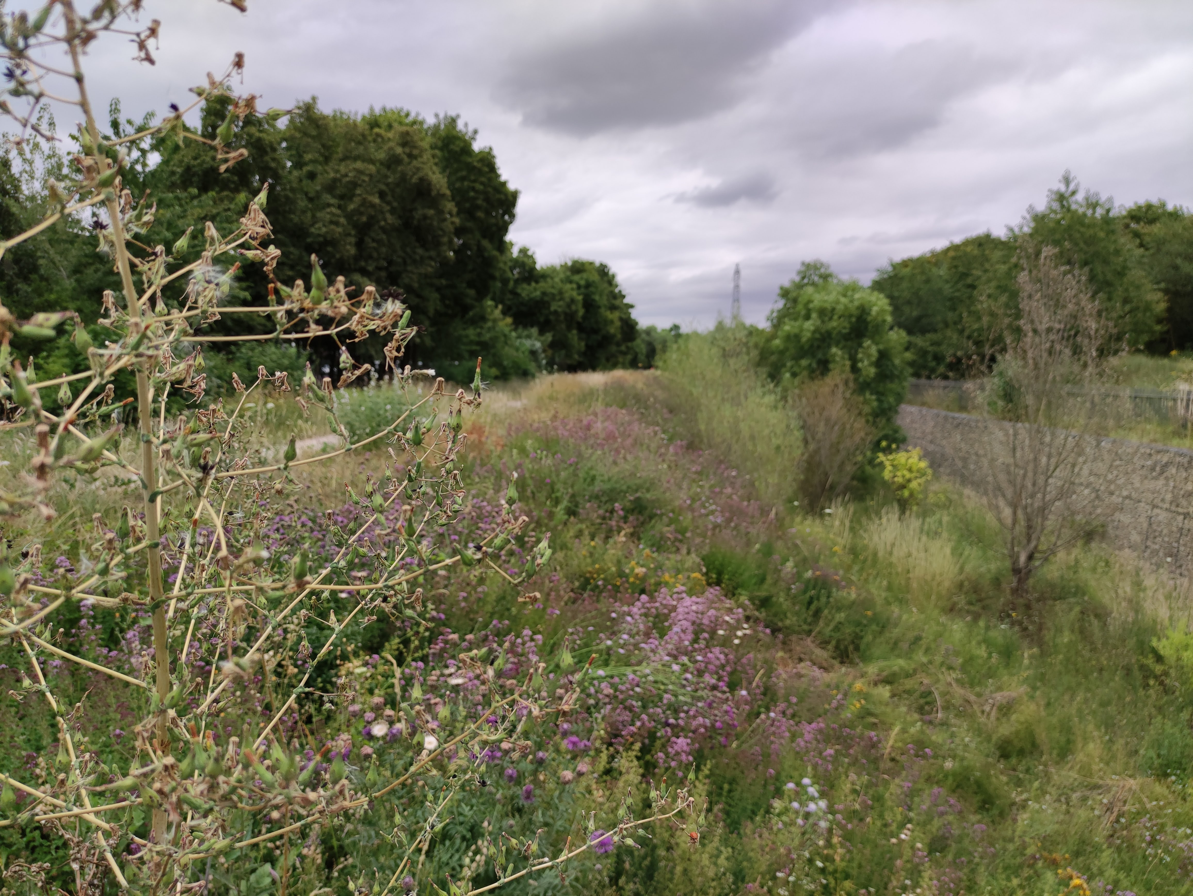 Photo n° 13 de l'avis de Sanjy.u fait le 25/07/2020 à 15:24