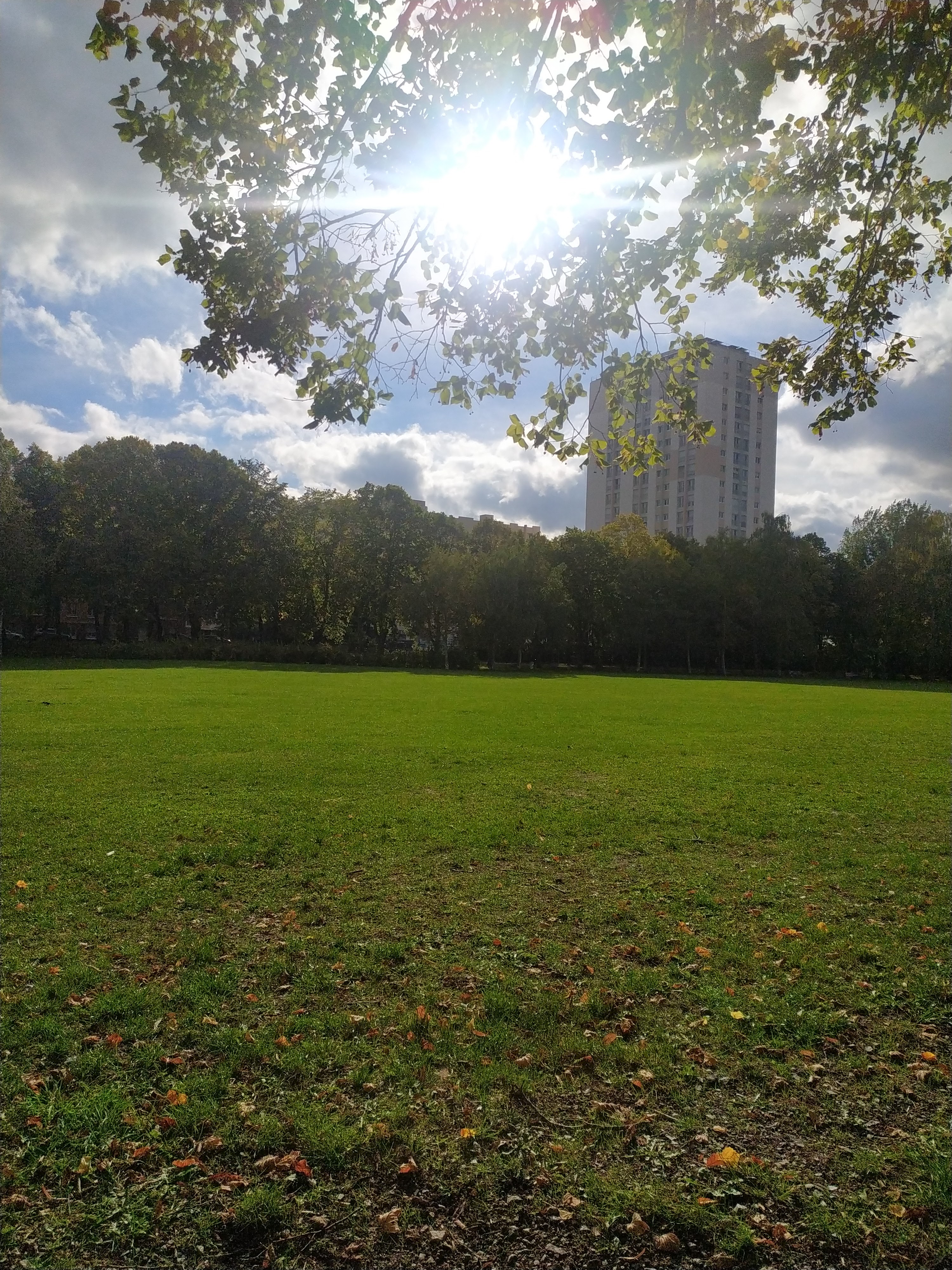 Photo n° 2 de l'avis de C.u fait le 26/07/2020 à 19:05