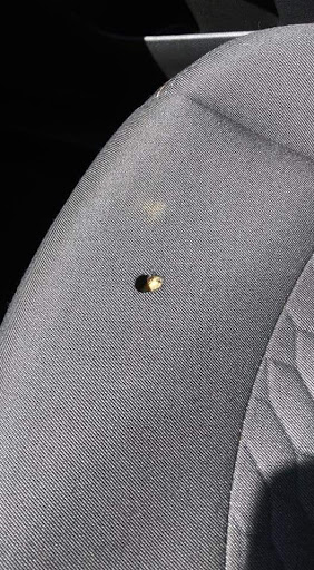 Auto Upholsterer «Shelby Auto Trim», reviews and photos, 40430 Mound Rd, Sterling Heights, MI 48310, USA