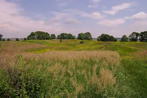 Grodzisko w Wiślicy image