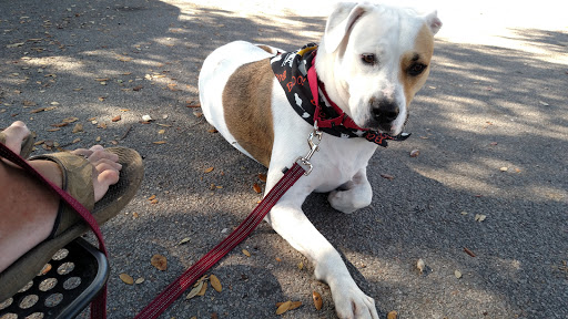 Park «Henry C. Chambers Waterfront Park», reviews and photos, Bay St, Beaufort, SC 29902, USA