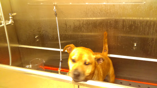 Pet Supply Store «Chow Hound Pet Supplies», reviews and photos, 660 Chicago Dr, Holland, MI 49423, USA