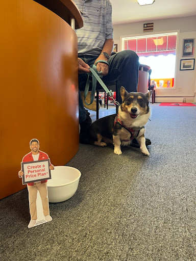 Insurance Agency «Jim Little - State Farm Insurance Agent», reviews and photos