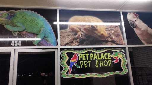 Reptile Store «Pet Palace», reviews and photos, 1442 N Hollenbeck Ave, Covina, CA 91722, USA