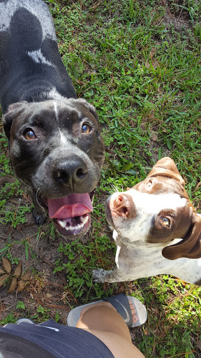 Pet Supply Store «3 Dogs and a Chick», reviews and photos, 130 Miracle Strip Pkwy SE, Fort Walton Beach, FL 32548, USA