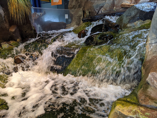 Aquarium «Great Lakes Aquarium», reviews and photos, 353 Harbor Dr, Duluth, MN 55802, USA