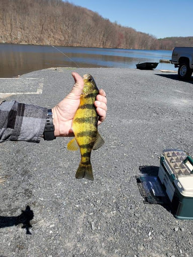 Park «Winding Hills Park», reviews and photos, 2 Old Rte 17K, Montgomery, NY 12549, USA