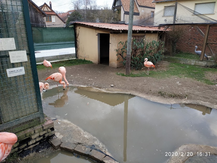 La Cour Des Oiseaux Gougenheim