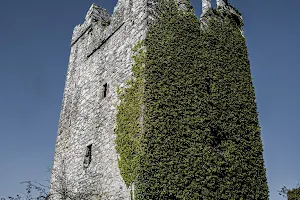 Dunmahon Castle image