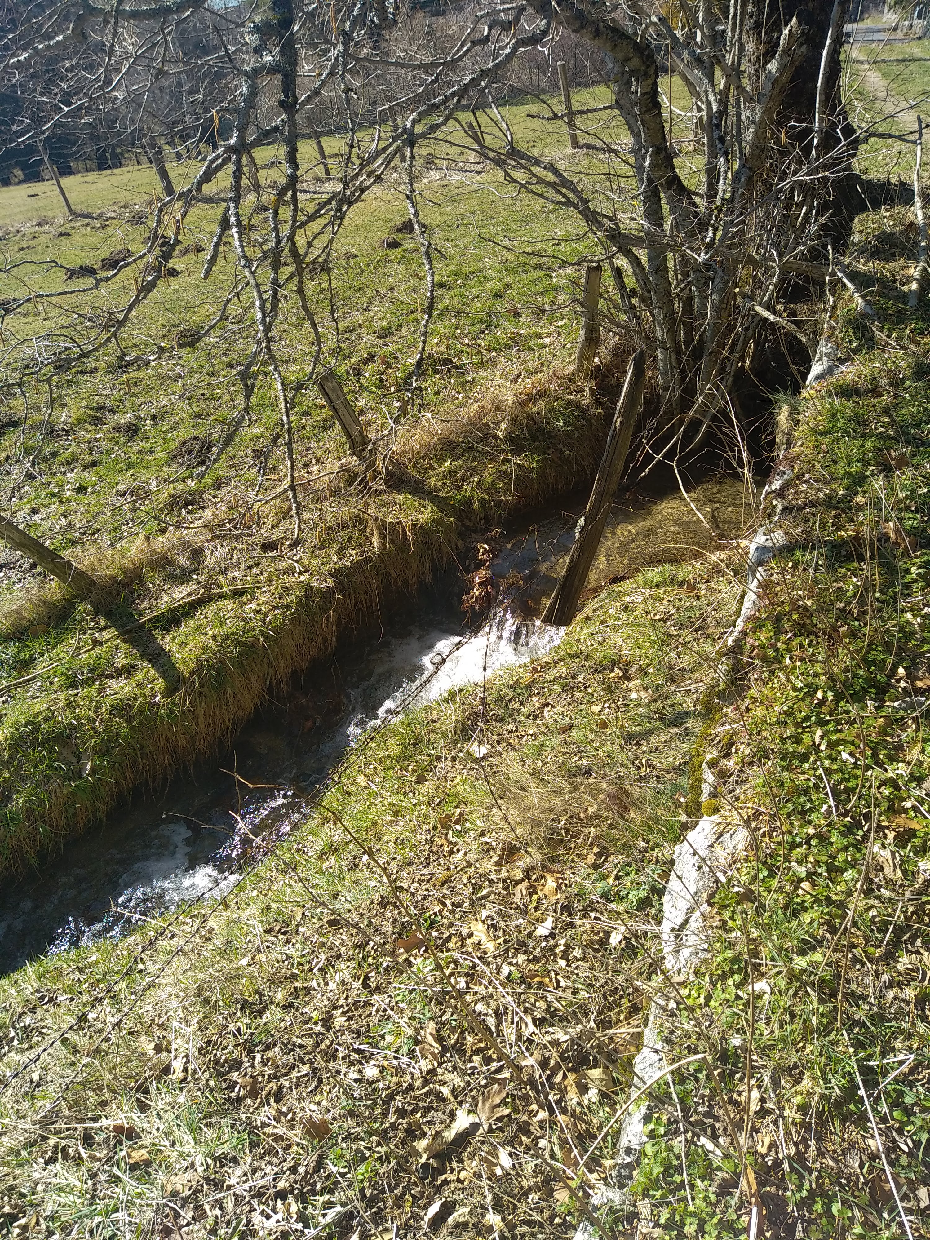 Photo n° 3 de l'avis de Julien.a fait le 05/03/2023 à 15:22