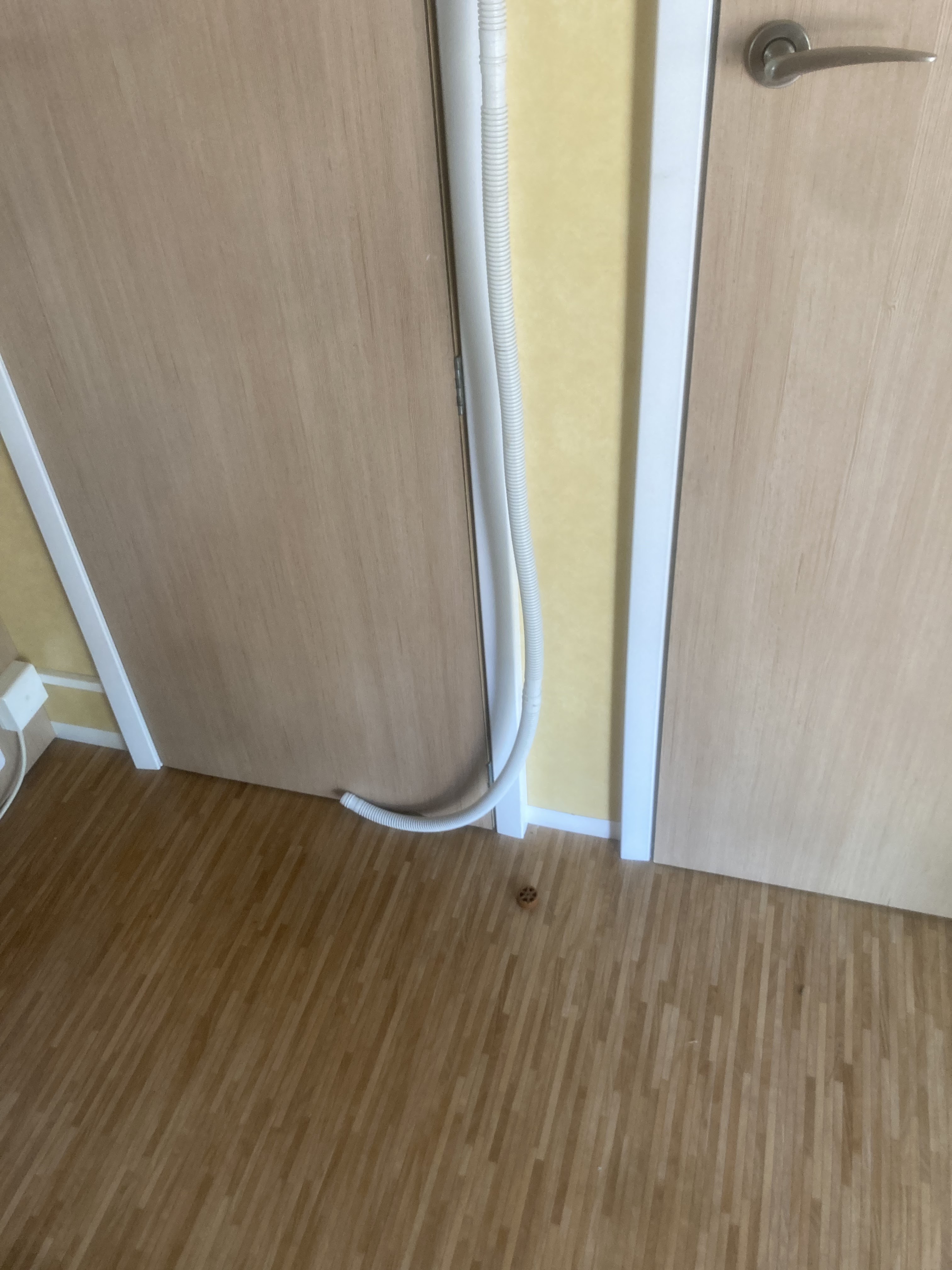 Photo n° 4 de l'avis de bali.a fait le 20/07/2021 à 08:58