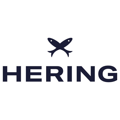 Logo da empresa - Hering