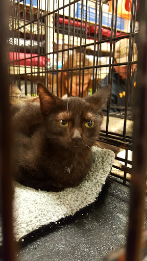 Pet Supply Store «PetSmart», reviews and photos, 1512 S Randall Rd, Geneva, IL 60134, USA