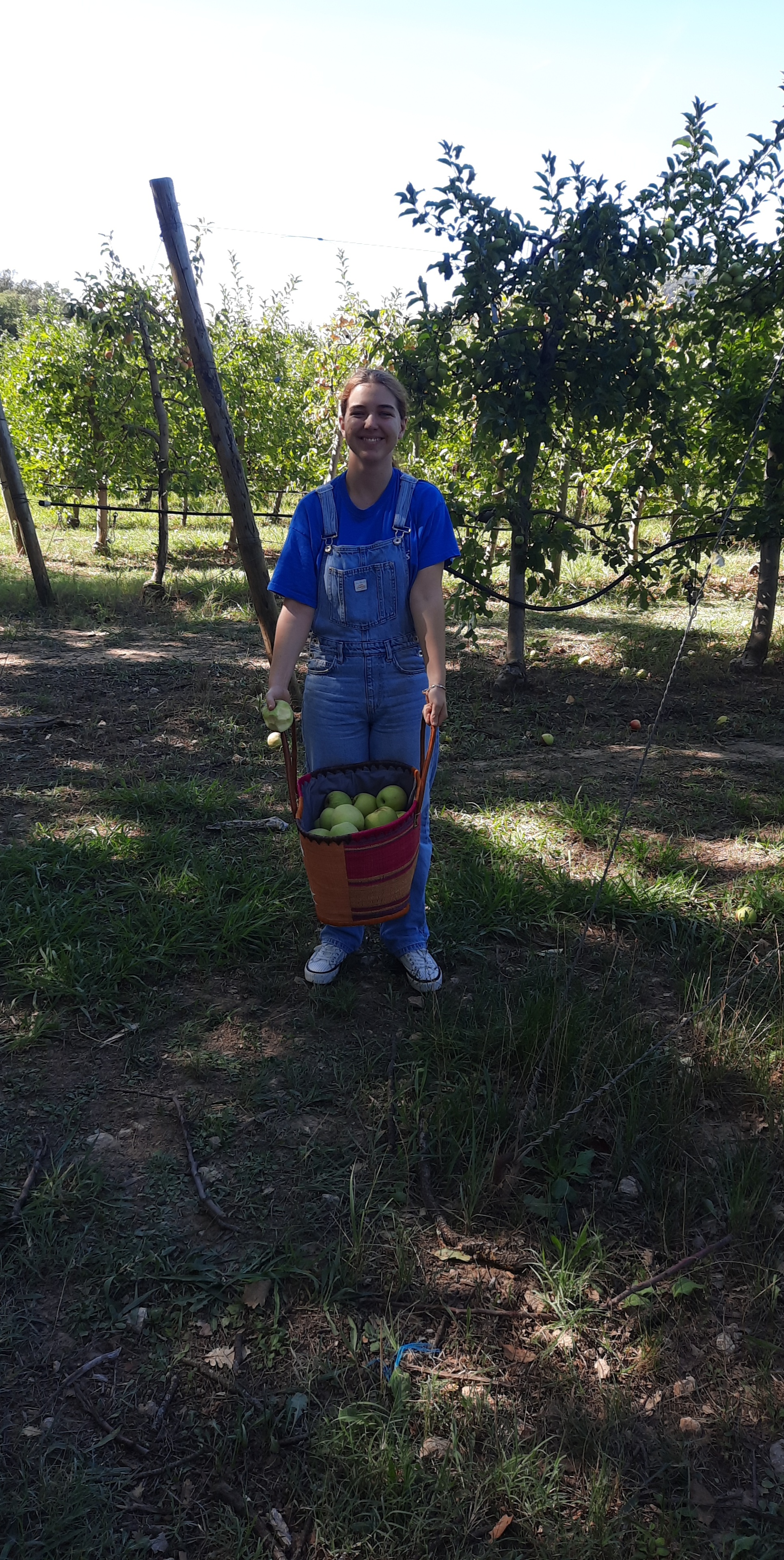 Photo n° 4 de l'avis de Susan.e fait le 18/09/2022 à 16:40
