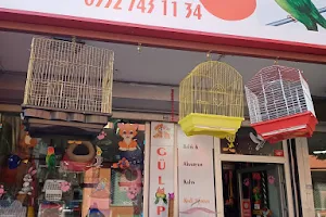 GÜL Petshop image