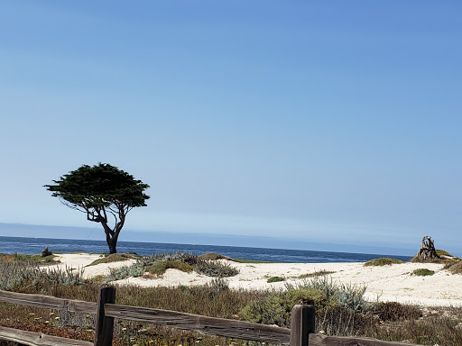 Golf Course «Monterey Peninsula Dunes Golf Course», reviews and photos, 3000 Club Rd, Pebble Beach, CA 93953, USA