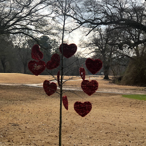 Golf Course «Chastain Park Golf Course», reviews and photos, 216 W Wieuca Rd NW, Atlanta, GA 30342, USA