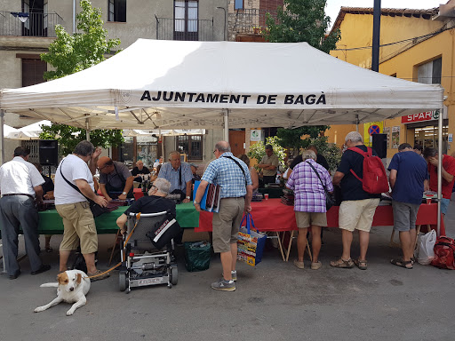 Información y opiniones sobre La flor de lis de Bagá