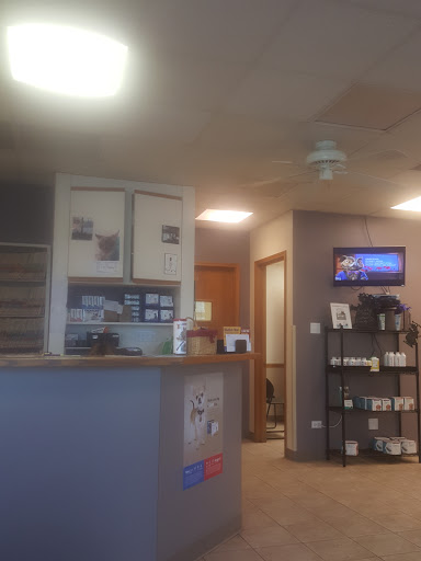 Glensted Pet Clinic image 7