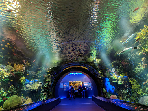 Aquarium «New York Aquarium», reviews and photos, 602 Surf Ave, Brooklyn, NY 11224, USA